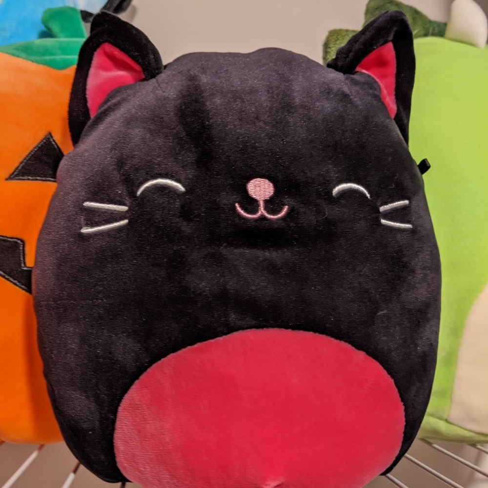 BNwt Catarina cat squishmallow 8"